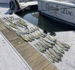 Catch tuna, marlin, and more in Lewes DE!